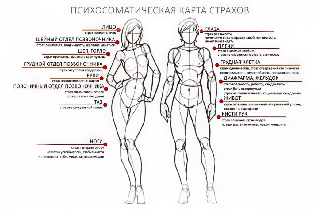 Психосоматика объединяет в себе понятия психики и тела. Это значит, что психологические проблемы могут вызвать физические симптомы